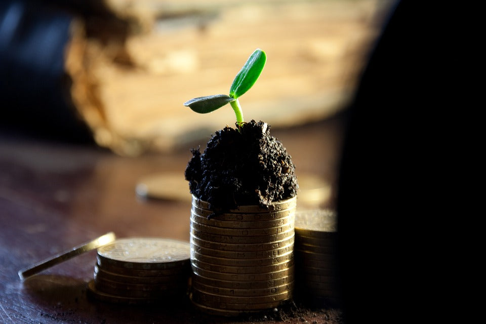 Basics of a Farming Business - Online Training